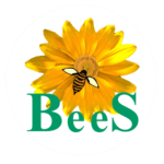 BeeS Education Management Software Solutions in Telangana